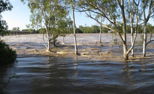 flood insurance news