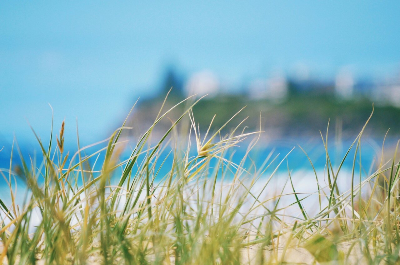 Security Company Insurance sunshine Coast
