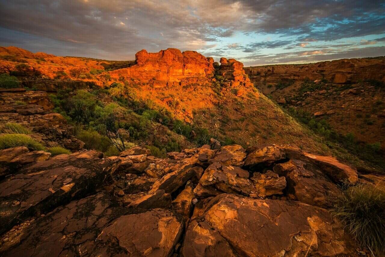 Security Company Insurance Mt Isa
