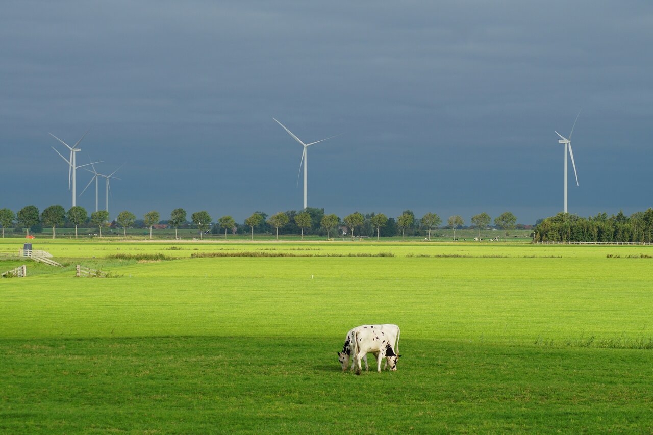 Renewable Energy Insurance Perth